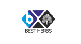 Best herbs